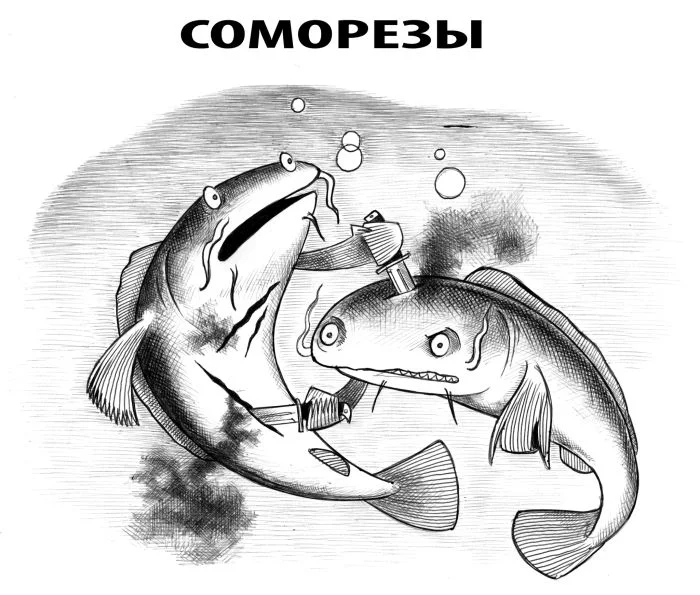 Смех без правил: гигантский сборник убойного юмора юмор, приколы, мемы, картинки, смешное, подборка, позитив, настроение, шутки