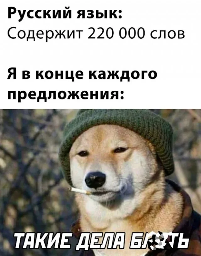 Смех без правил: гигантский сборник убойного юмора юмор, приколы, мемы, картинки, смешное, подборка, позитив, настроение, шутки