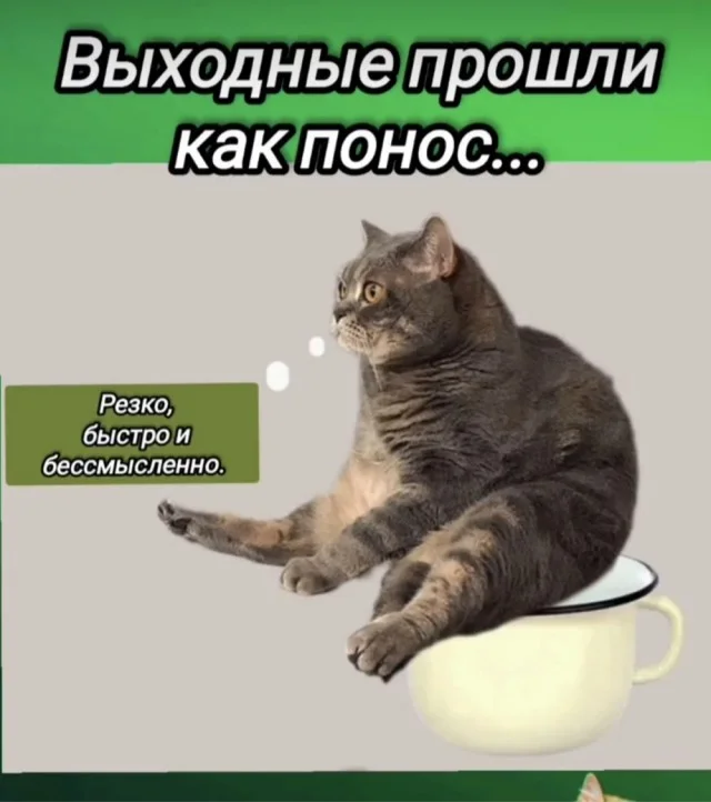 Смех без правил: гигантский сборник убойного юмора юмор, приколы, мемы, картинки, смешное, подборка, позитив, настроение, шутки