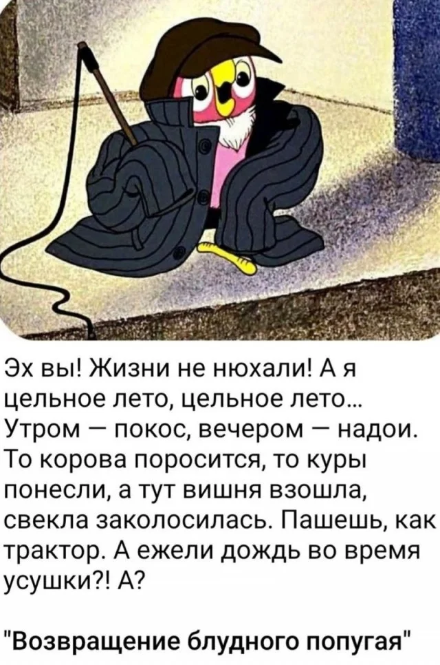 Смех без правил: гигантский сборник убойного юмора юмор, приколы, мемы, картинки, смешное, подборка, позитив, настроение, шутки