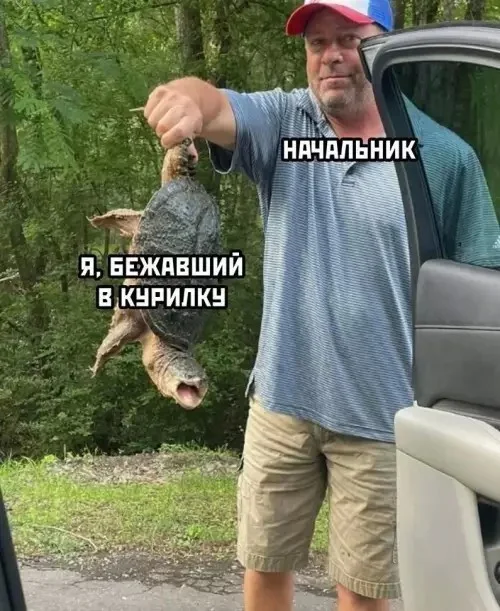 Смех без правил: гигантский сборник убойного юмора юмор, приколы, мемы, картинки, смешное, подборка, позитив, настроение, шутки