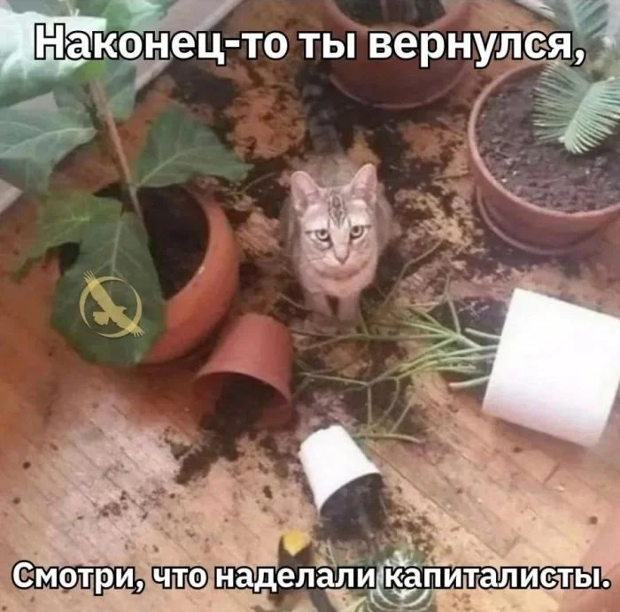 Смех без правил: гигантский сборник убойного юмора юмор, приколы, мемы, картинки, смешное, подборка, позитив, настроение, шутки