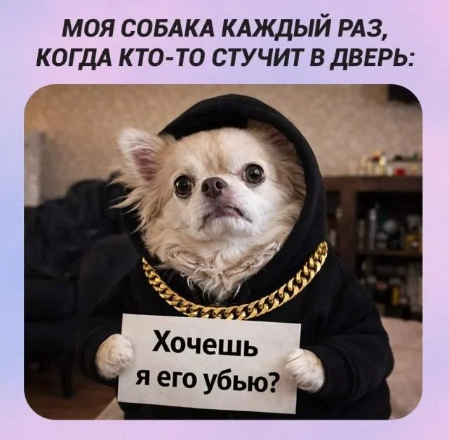 Утренний юмор: мемы про банкоматы, Буратино и метро мемы, юмор, приколы, банкомат, буратино, дискета, метро