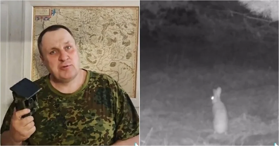 Лиса осталась ни с чем: хитрость зайца попала на камеру