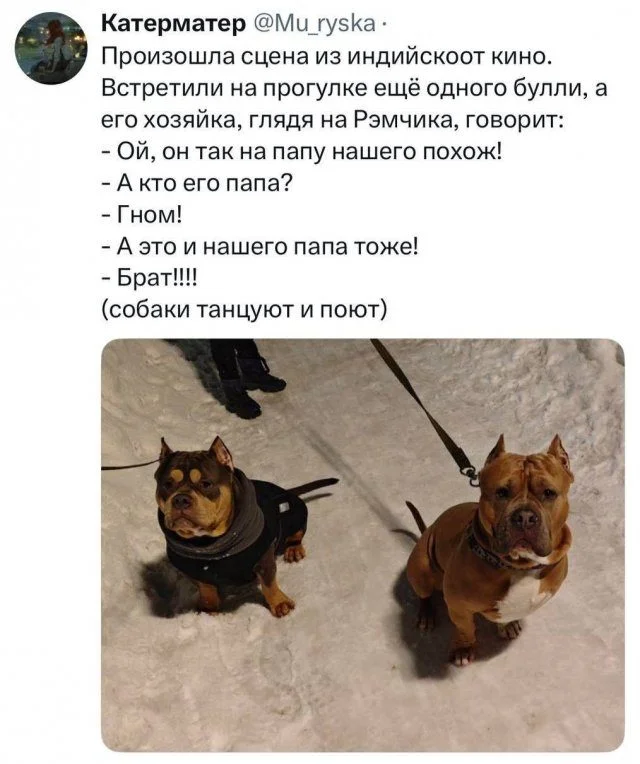 Топ смешных мемов, чтобы забыть о тревогах мемы, шутки, приколы, юмор, картинки, позитив