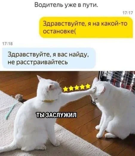 Топ смешных мемов, чтобы забыть о тревогах мемы, шутки, приколы, юмор, картинки, позитив