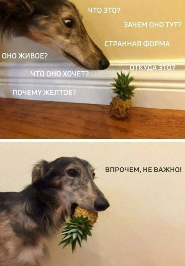 Топ смешных мемов, чтобы забыть о тревогах мемы, шутки, приколы, юмор, картинки, позитив