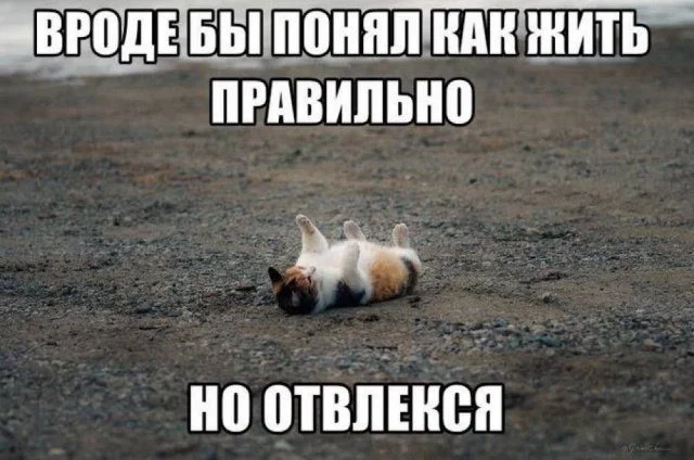 Топ смешных мемов, чтобы забыть о тревогах мемы, шутки, приколы, юмор, картинки, позитив