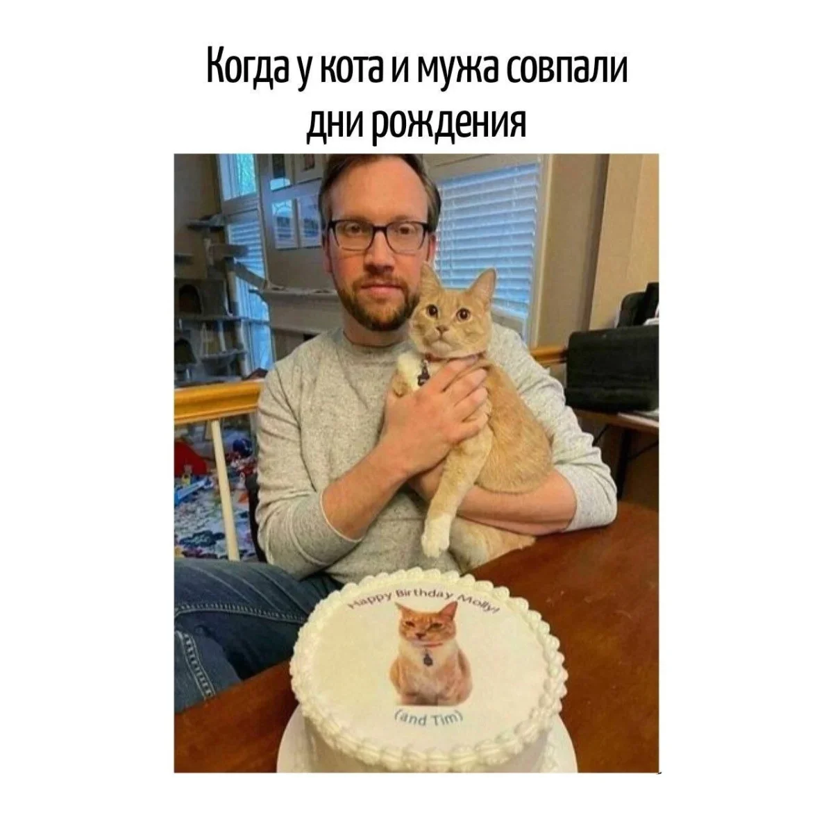Словесные финты: подборка каламбуров, за которые хочется и обнять, и прибить автора каламбуры, игра слов, юмор, шутки, приколы, языковые фокусы
