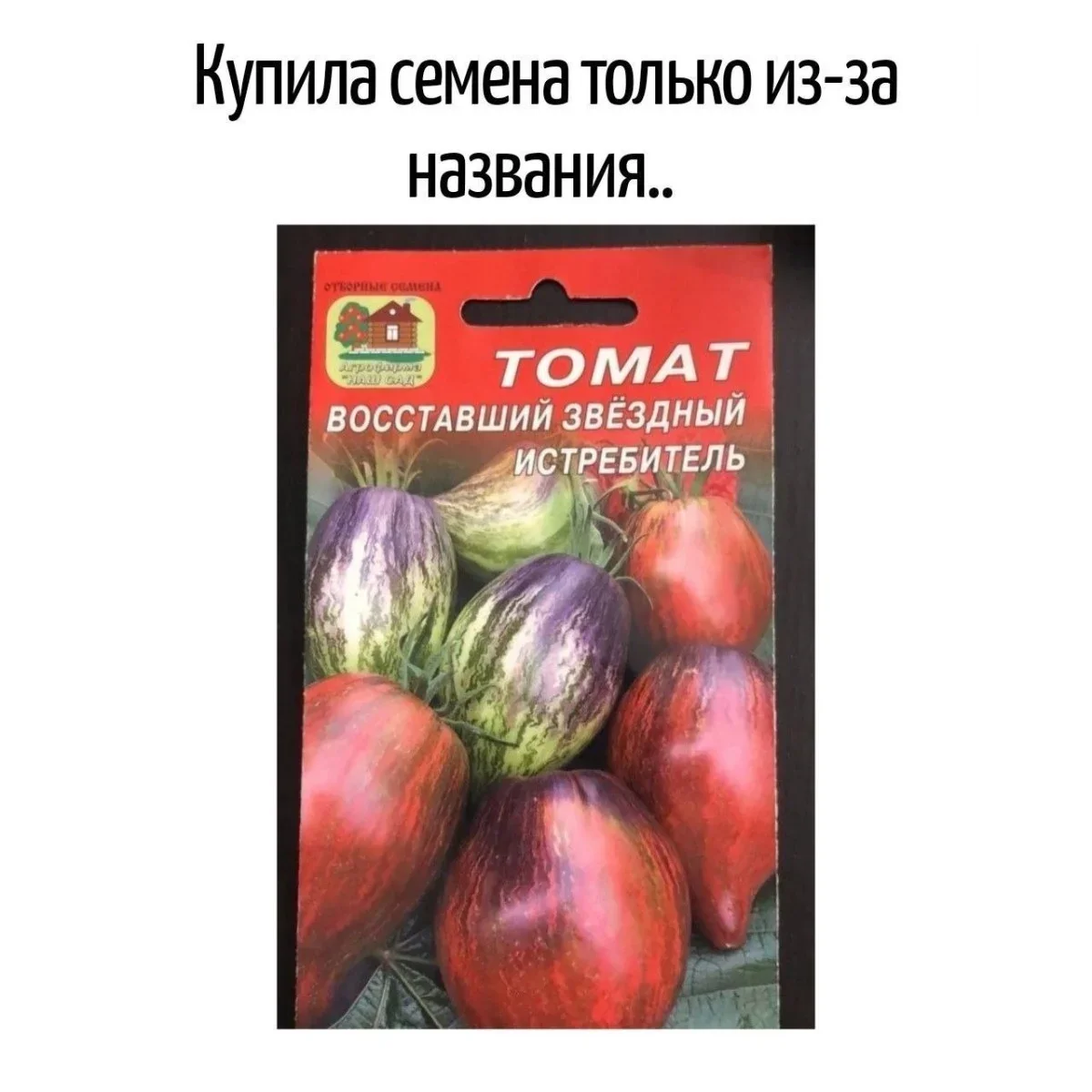Словесные финты: подборка каламбуров, за которые хочется и обнять, и прибить автора каламбуры, игра слов, юмор, шутки, приколы, языковые фокусы