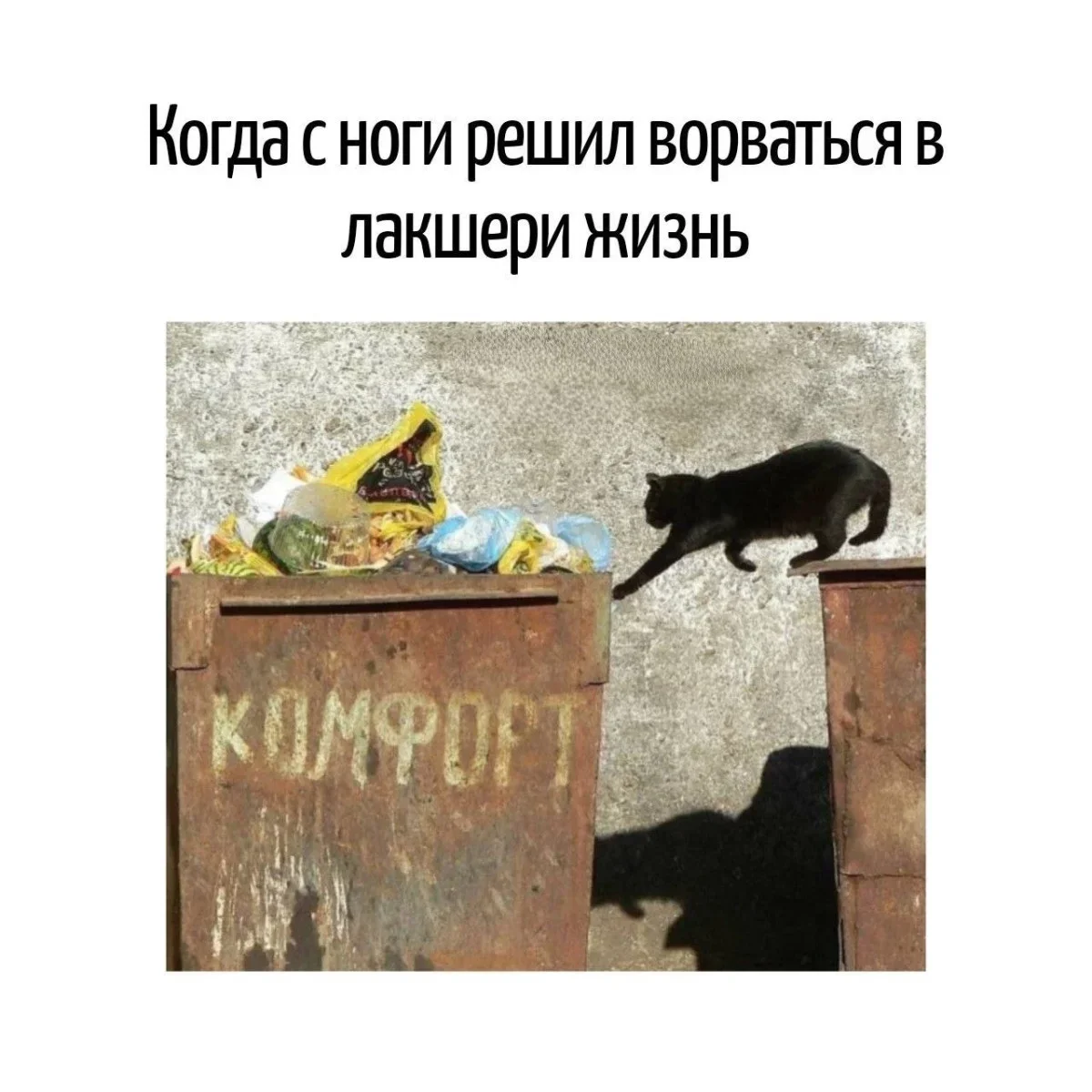 Словесные финты: подборка каламбуров, за которые хочется и обнять, и прибить автора каламбуры, игра слов, юмор, шутки, приколы, языковые фокусы