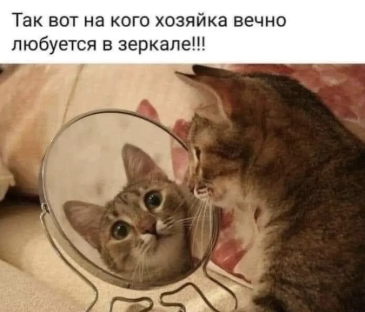 Зацени: угарные картинки и воспоминания из девяностых юмор, приколы, 90-е, ностальгия, картинки, дети