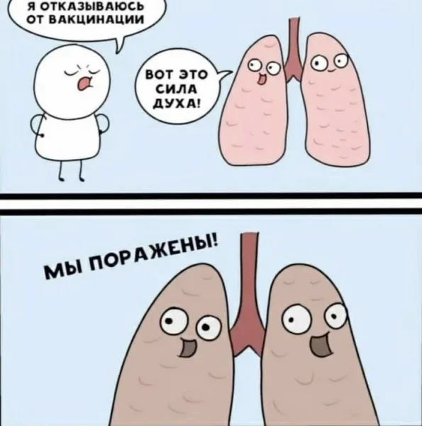 Заряжаемся позитивом: угарная подборка приколов на середину недели приколы, мемы, юмор, картинки, позитив