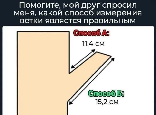 Заряжаемся позитивом: угарная подборка приколов на середину недели приколы, мемы, юмор, картинки, позитив