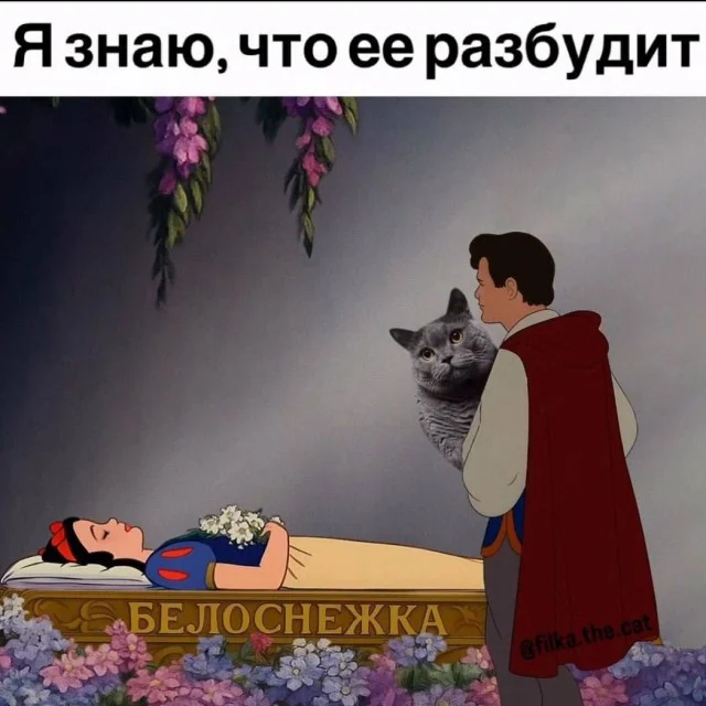 Заряжаемся позитивом: угарная подборка приколов на середину недели приколы, мемы, юмор, картинки, позитив