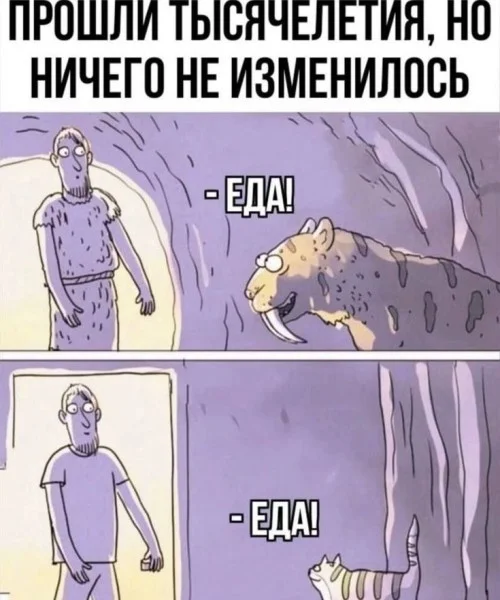 Заряжаемся позитивом: угарная подборка приколов на середину недели приколы, мемы, юмор, картинки, позитив