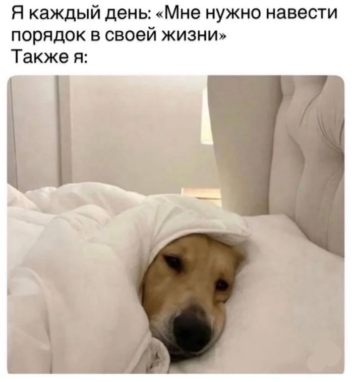 Поднимаем настроение: угарные мемы для серых будней будни, приколы, мемы, позитив, настроение, смешные картинки, юмор, подборка