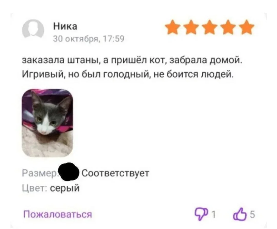 Смех сквозь покупки: пришло в подарочной коробке… из газеты и скотча юмор, покупки, фотоотзывы, приколы, маркетплейс, упаковка, смешное