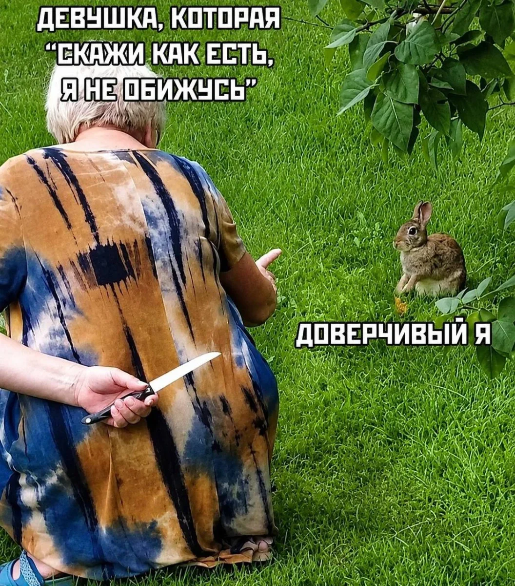Юмор дня: компас настроения и отличные приколы юмор, приколы, картинки, мемы, фото, компас, смех, подборка
