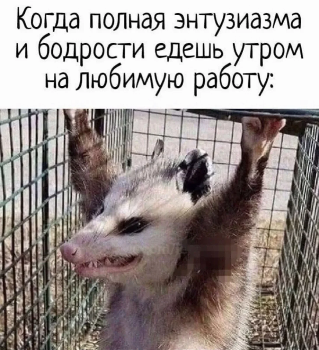 Юмор дня: компас настроения и отличные приколы юмор, приколы, картинки, мемы, фото, компас, смех, подборка