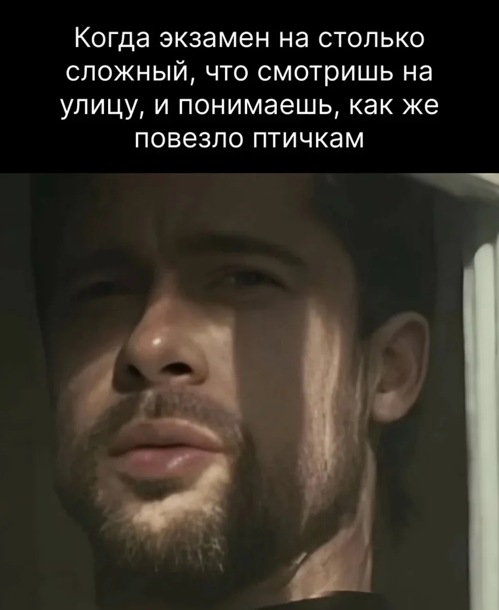 Юмор дня: компас настроения и отличные приколы юмор, приколы, картинки, мемы, фото, компас, смех, подборка