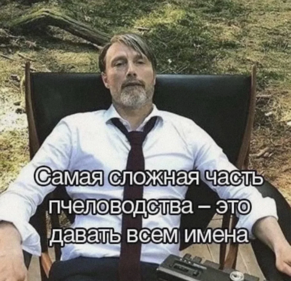 Юмор дня: компас настроения и отличные приколы юмор, приколы, картинки, мемы, фото, компас, смех, подборка