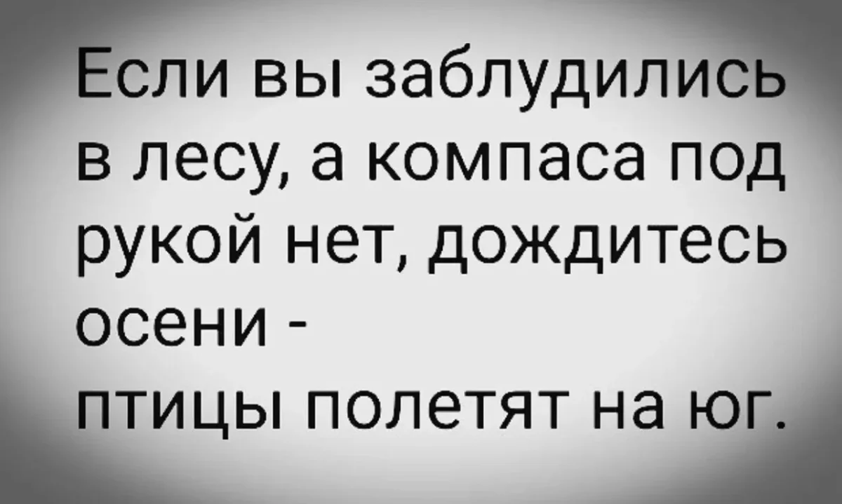 Юмор дня: компас настроения и отличные приколы Юмор дня: компас настроения и отличные приколы юмор, приколы, картинки, мемы, фото, компас, смех, подборка