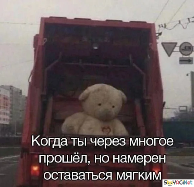Новая партия мемов «Когда...», от которых порвёшь живот приколы, мемы, когда, юмор, картинки, подборка, смешное