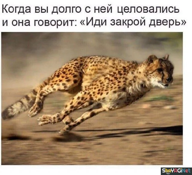 Новая партия мемов «Когда...», от которых порвёшь живот приколы, мемы, когда, юмор, картинки, подборка, смешное