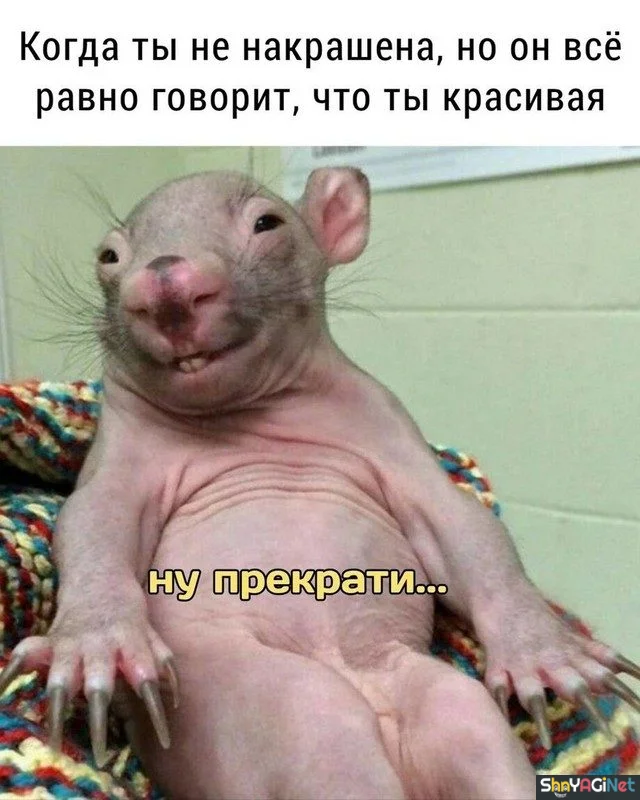 Новая партия мемов «Когда...», от которых порвёшь живот приколы, мемы, когда, юмор, картинки, подборка, смешное
