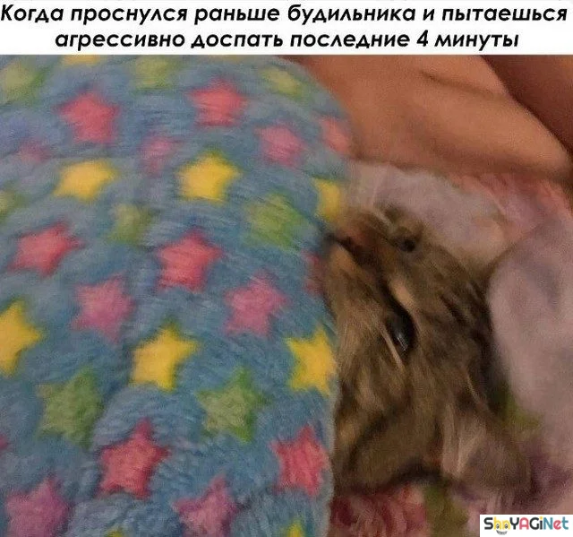 Новая партия мемов «Когда...», от которых порвёшь живот приколы, мемы, когда, юмор, картинки, подборка, смешное