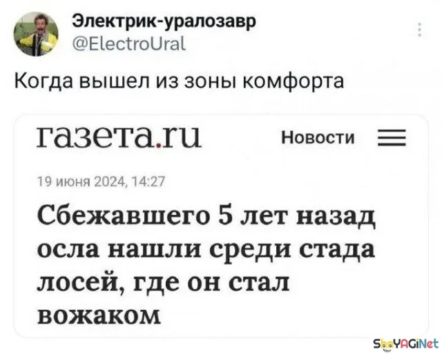 Новая партия мемов «Когда...», от которых порвёшь живот приколы, мемы, когда, юмор, картинки, подборка, смешное