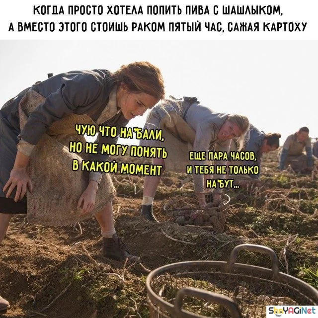 Новая партия мемов «Когда...», от которых порвёшь живот приколы, мемы, когда, юмор, картинки, подборка, смешное