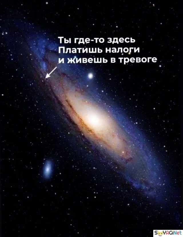 Майский угар: лучшие приколы месяца приколы, мемы, смешные картинки, май, юмор, интернет, угар, позитив