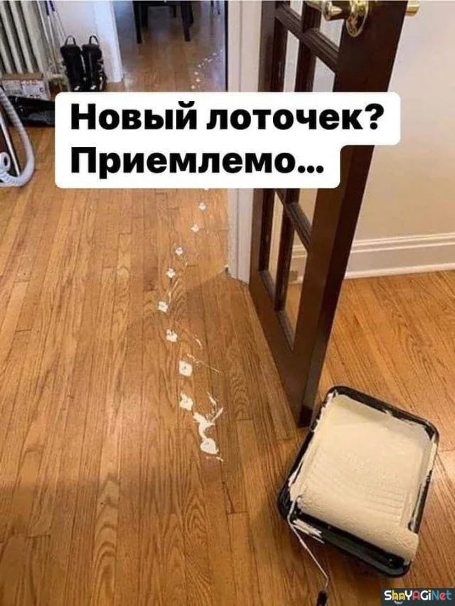 Майский угар: лучшие приколы месяца приколы, мемы, смешные картинки, май, юмор, интернет, угар, позитив