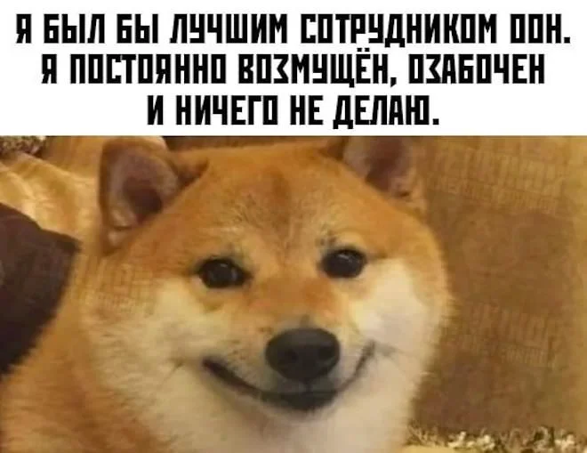 Новые мемы и комментарии из соцсетей: всё самое смешное уже здесь! мемы, приколы, юмор, картинки, подборка, смешное, настроение