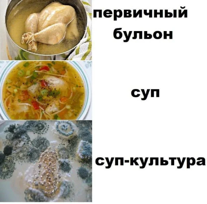 Новые мемы и комментарии из соцсетей: всё самое смешное уже здесь! мемы, приколы, юмор, картинки, подборка, смешное, настроение