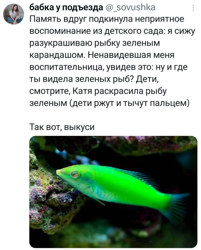 Новые мемы и комментарии из соцсетей: всё самое смешное уже здесь! мемы, приколы, юмор, картинки, подборка, смешное, настроение