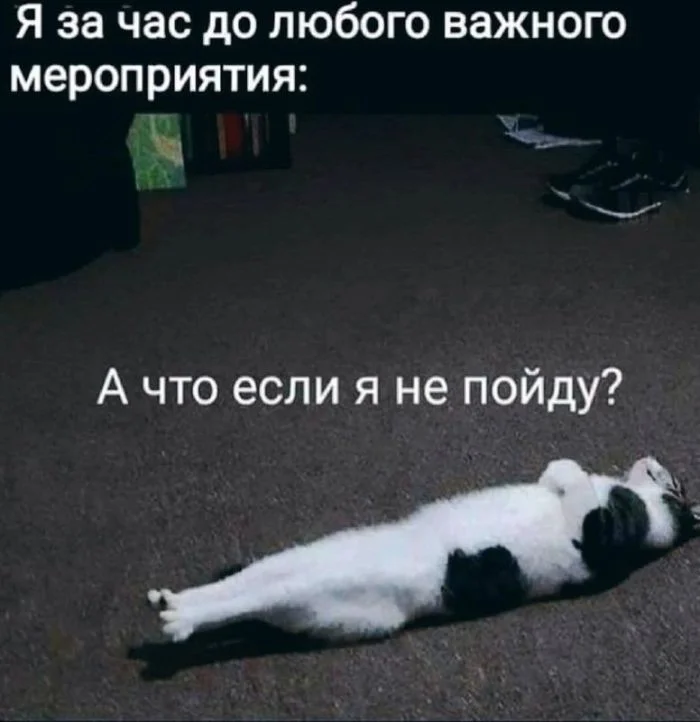 Новые мемы и комментарии из соцсетей: всё самое смешное уже здесь! мемы, приколы, юмор, картинки, подборка, смешное, настроение
