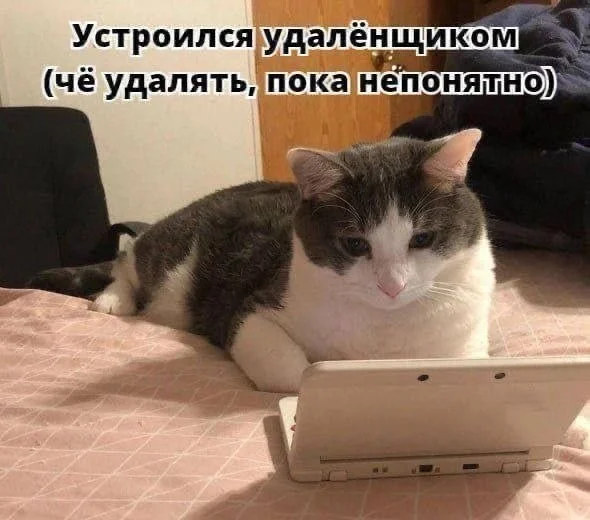Свежая порция угара: лучшие мемы этой недели мемы, приколы, юмор, картинки, подборка, смешное, настроение