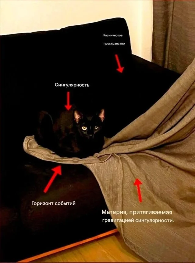 Свежая порция угара: лучшие мемы этой недели мемы, приколы, юмор, картинки, подборка, смешное, настроение