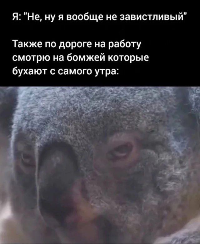 Свежая порция угара: лучшие мемы этой недели мемы, приколы, юмор, картинки, подборка, смешное, настроение