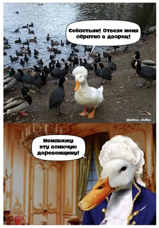 Свежая порция угара: лучшие мемы этой недели мемы, приколы, юмор, картинки, подборка, смешное, настроение