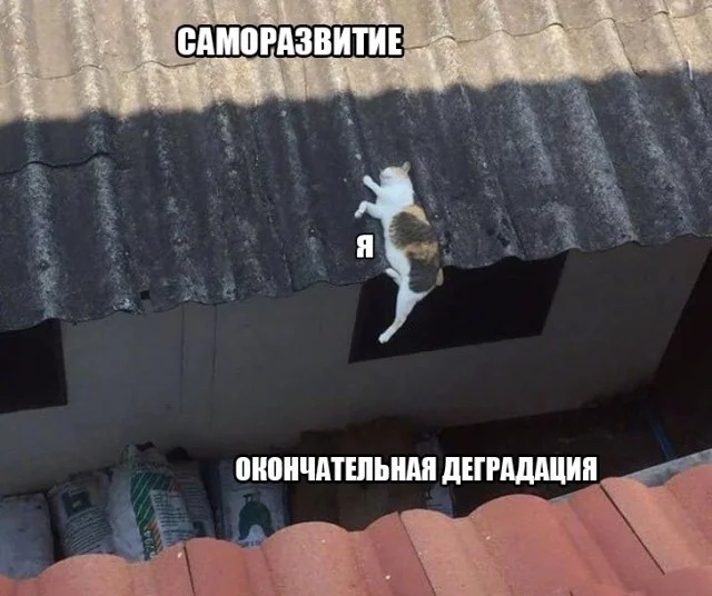 Свежая порция угара: лучшие мемы этой недели мемы, приколы, юмор, картинки, подборка, смешное, настроение
