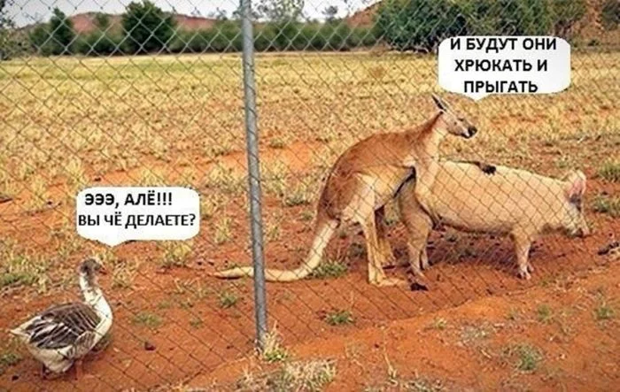 Свежая порция угара: лучшие мемы этой недели мемы, приколы, юмор, картинки, подборка, смешное, настроение
