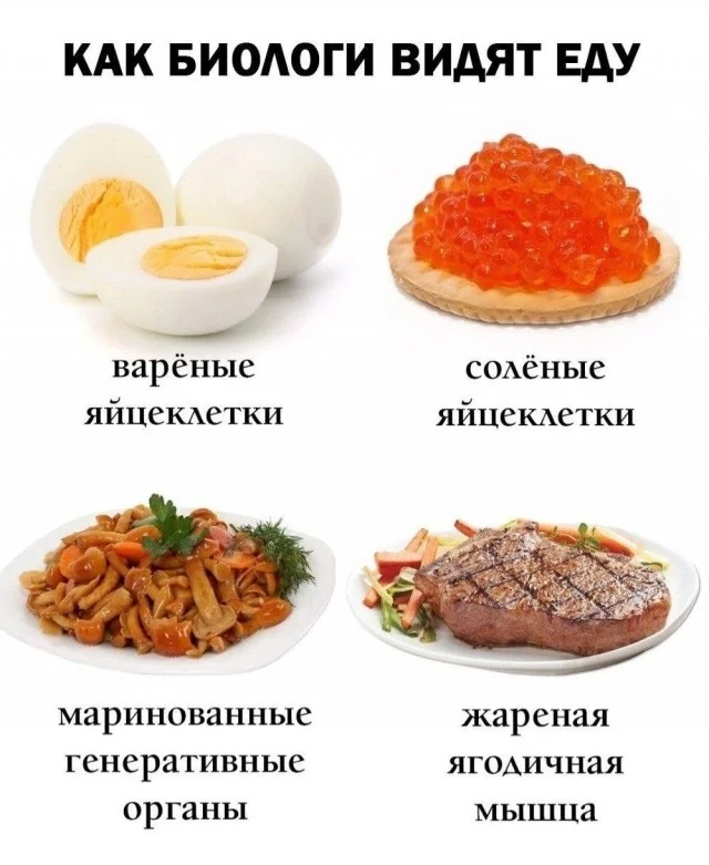 Свежая порция угара: лучшие мемы этой недели мемы, приколы, юмор, картинки, подборка, смешное, настроение