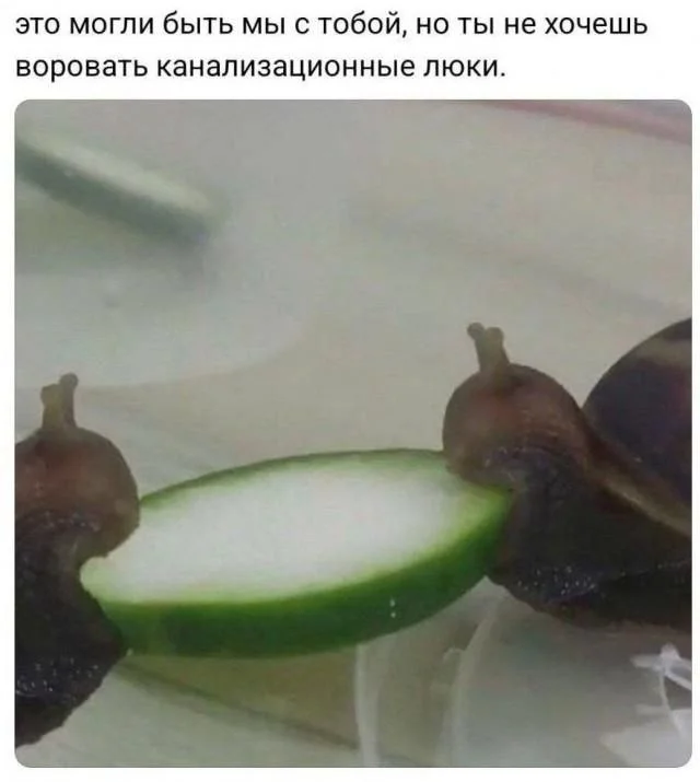 Свежая порция угара: лучшие мемы этой недели мемы, приколы, юмор, картинки, подборка, смешное, настроение