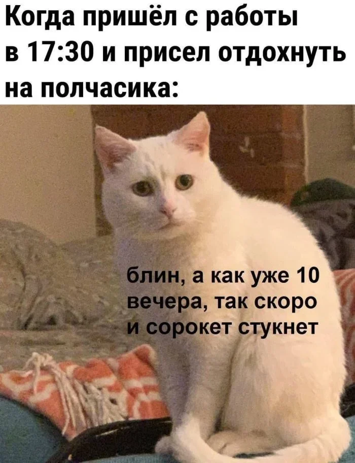 Утренний юмор: мемы про предательство, дедукцию и кино мемы, приколы, юмор, утро, 21 мая, Шерлок Холмс, Тарантино, предательство