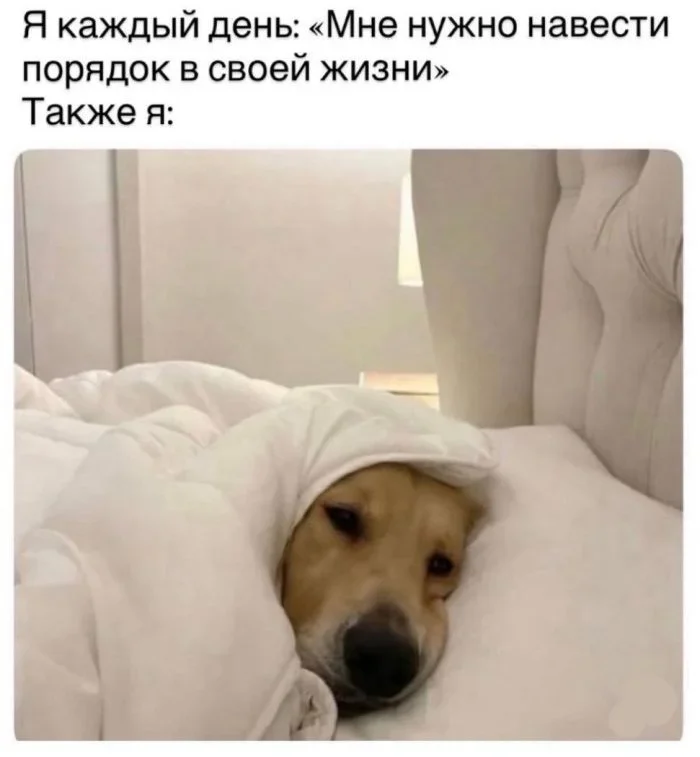 Утренний юмор: мемы про предательство, дедукцию и кино мемы, приколы, юмор, утро, 21 мая, Шерлок Холмс, Тарантино, предательство