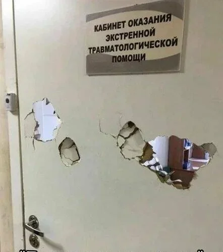 Топ абсурдных снимков: улыбнитесь, это бесплатно смешные фото, приколы, абсурд, животные, коты, юмор, подборка, настроение, интернет